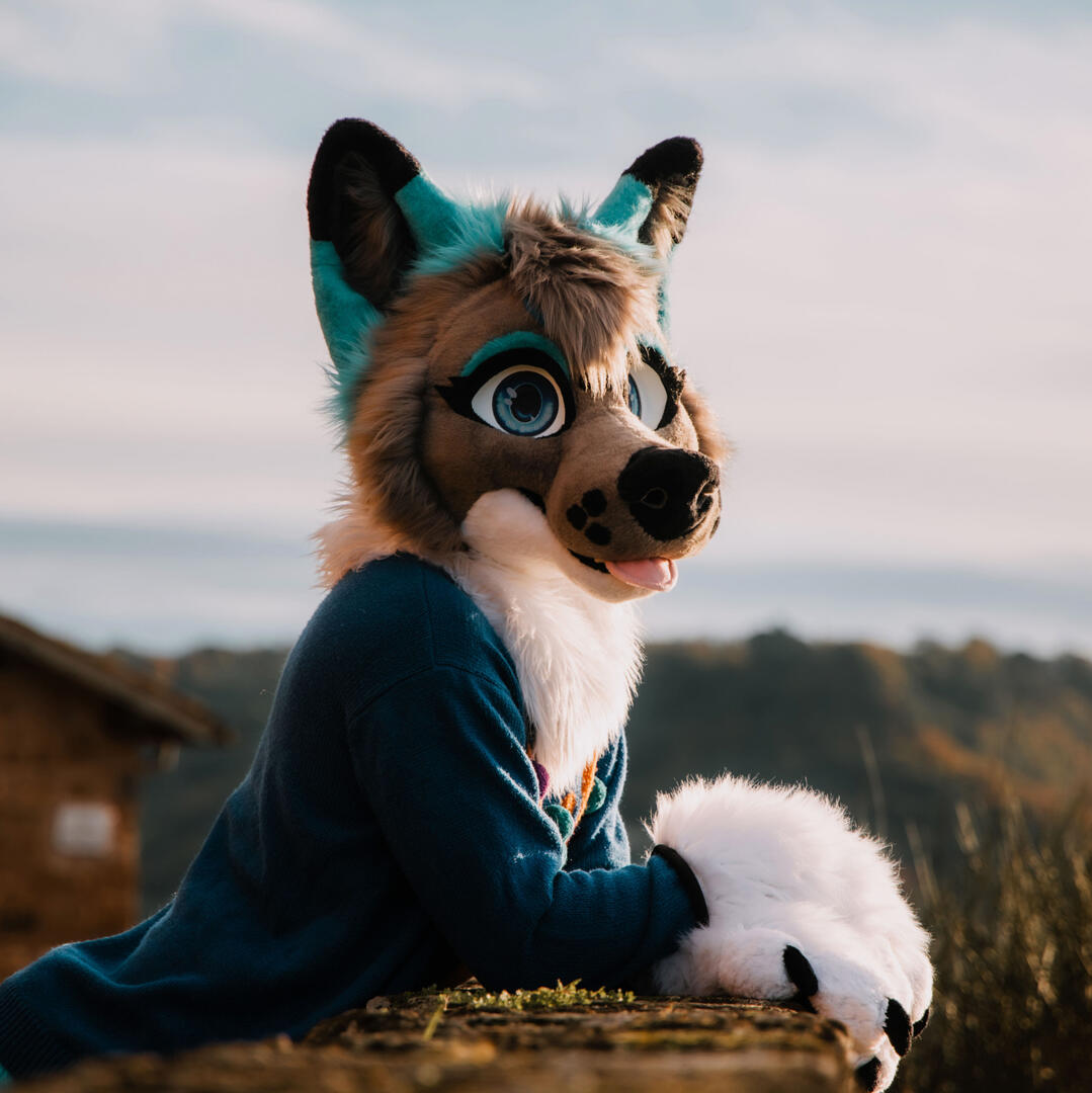 Ikaros - IG @paw.ikaros