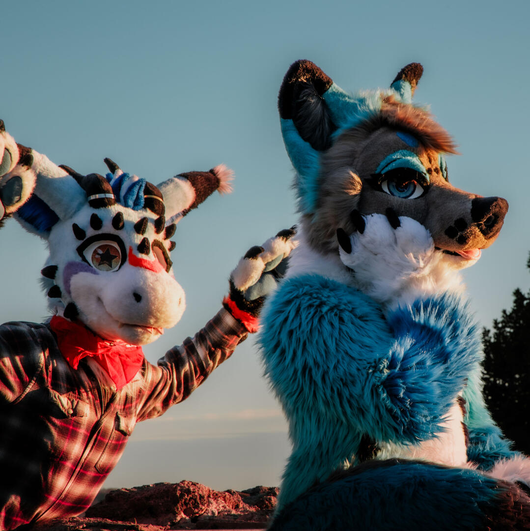 Merkava - IG merkava.brolpe