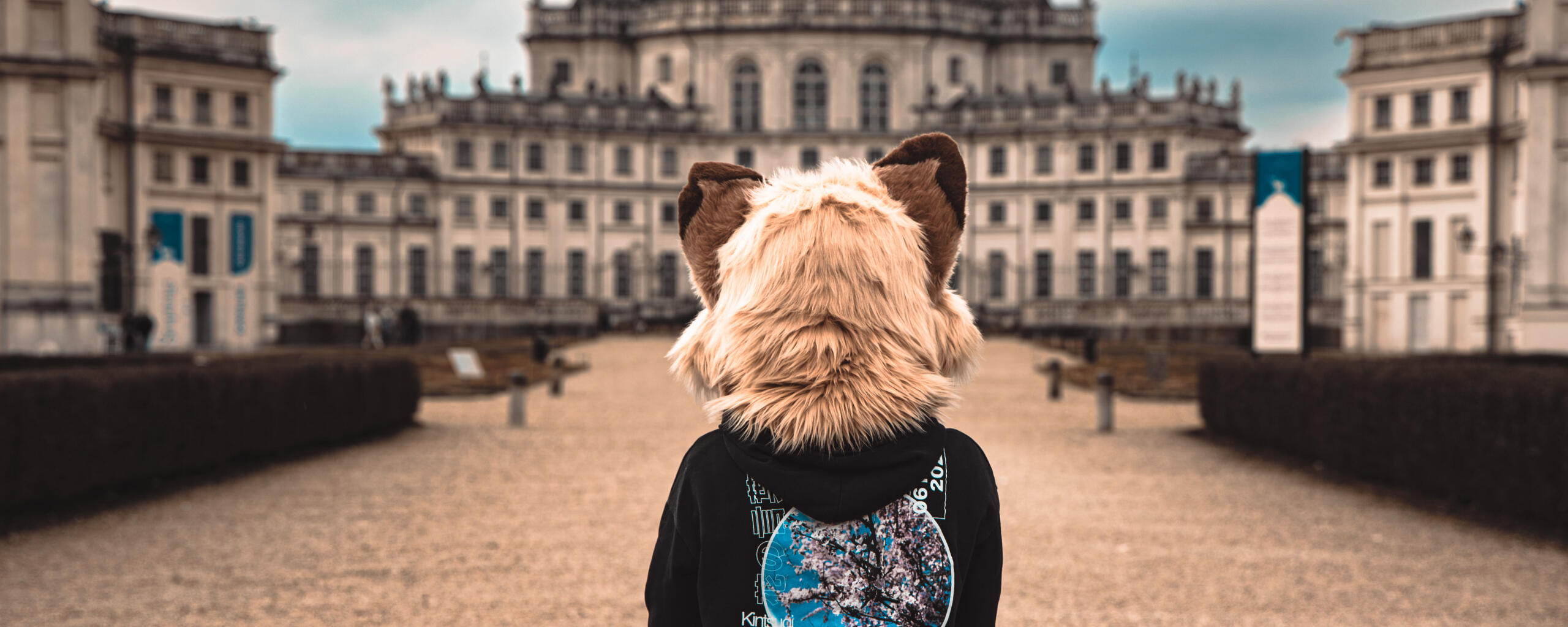 Jiru - IG @coffeewolf.art