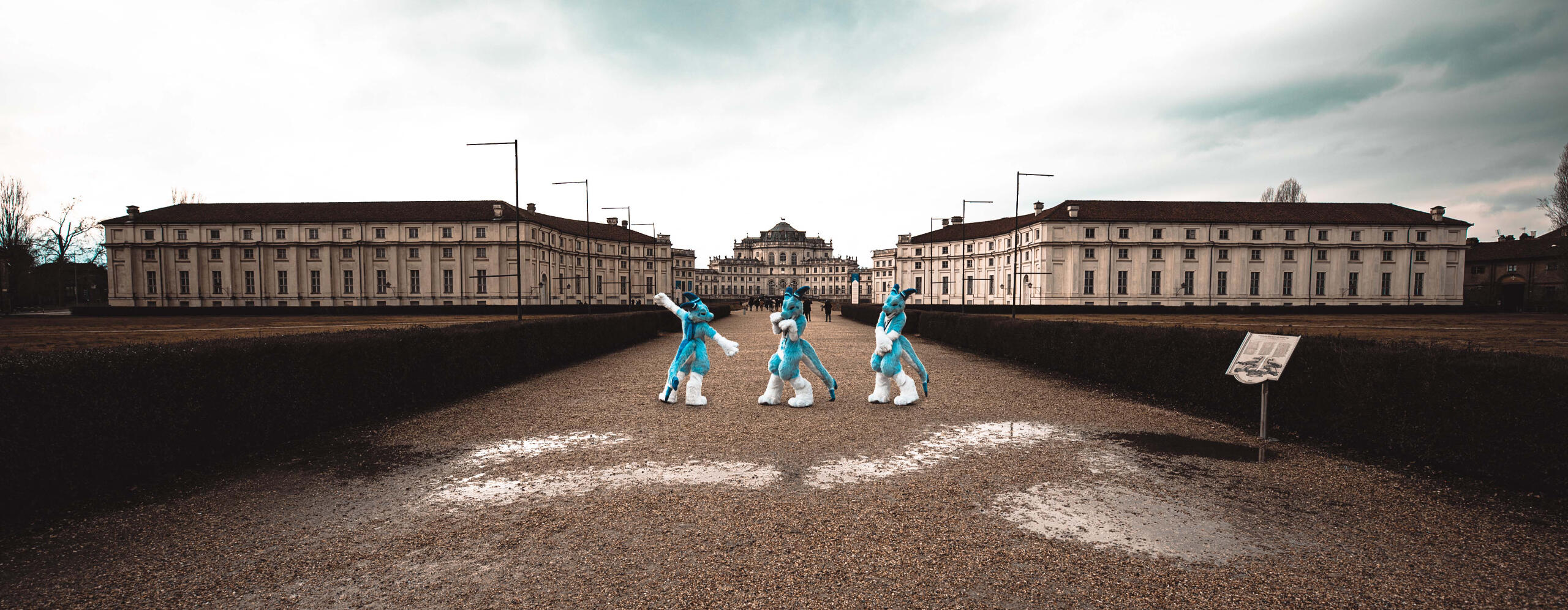 Scyla - IG @scyla.the.manokit