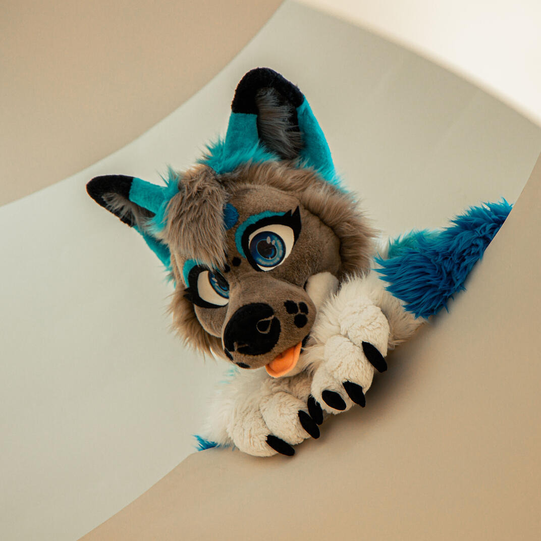 Ikaros - IG @paw.ikaros