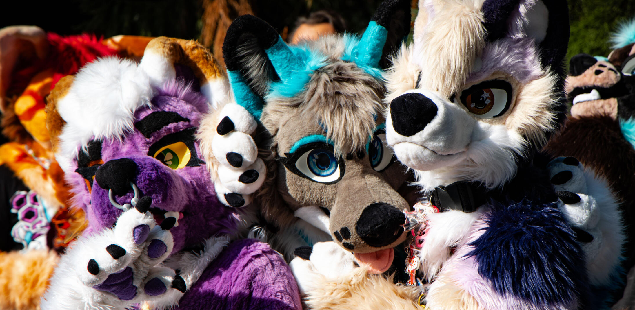 Saiz, Ikaros and Zenith