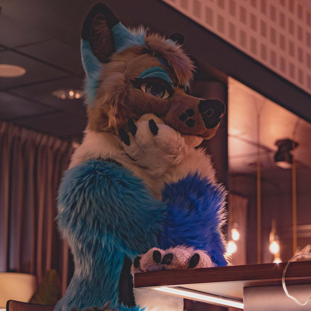 Ikaros - IG @paw.ikaros