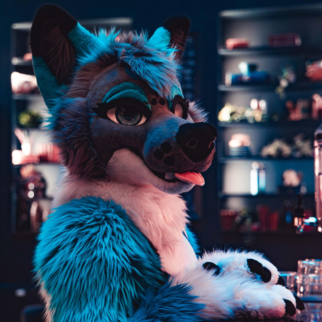 Ikaros - IG @paw.ikaros