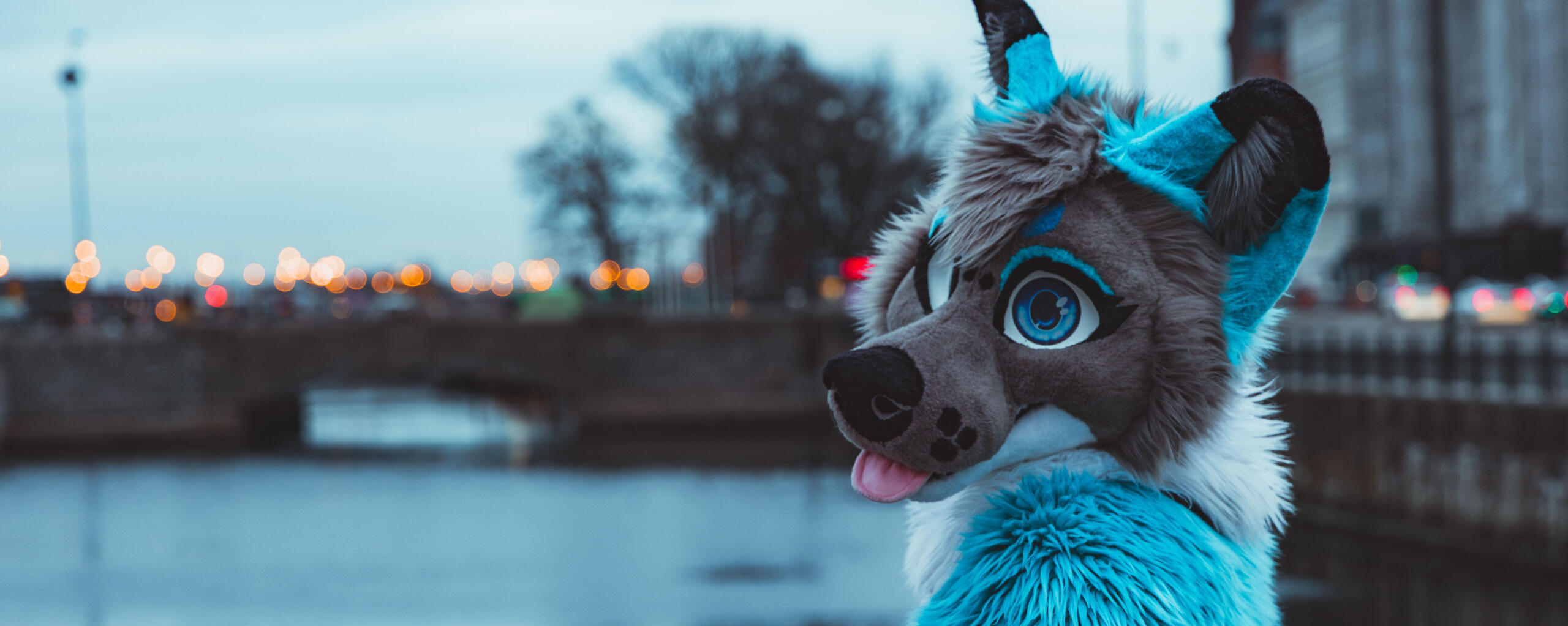 Ikaros - IG @paw.ikaros